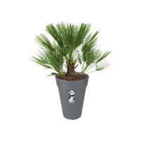 loft urban rond haut 28cm anthracite